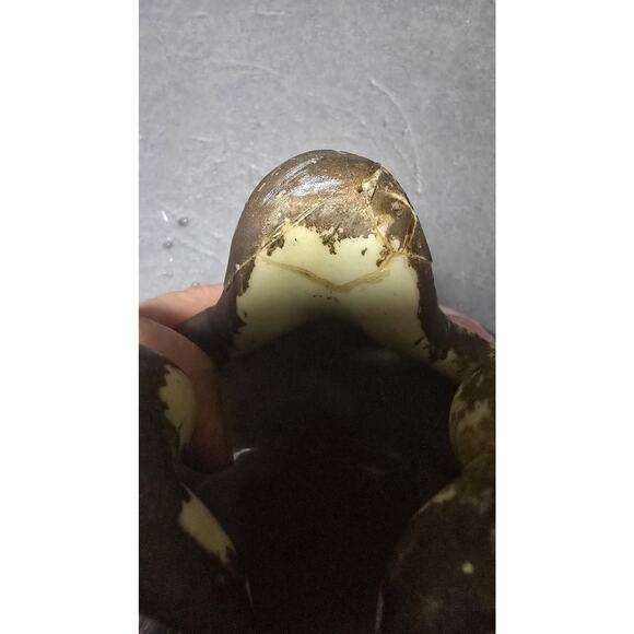 Vintage Hand Painted Porcelain Rose Bowl Vase Gilt Rim Pink Roses *repairs - Picture 10 of 12